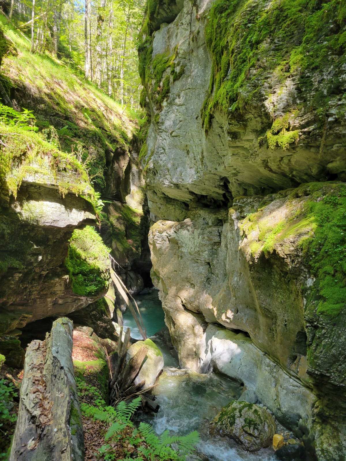 Mossy limestone walls and turquoise water in Junik canyon