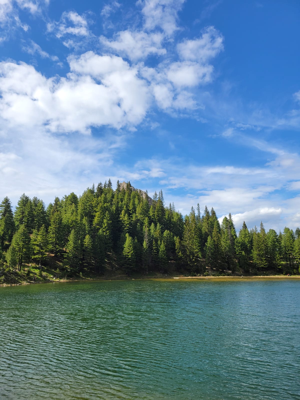 Liqenat lake surrounded by pine forest in Rugova, Kosovo